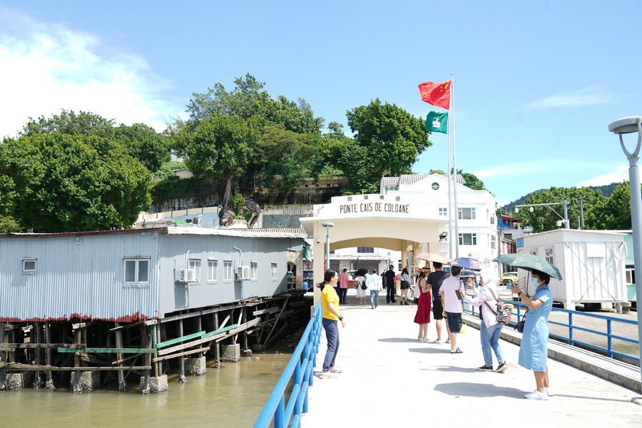 新澳门六开下一期预测，探索与解析彩票背后的秘密，揭秘彩票背后的秘密，新澳门六开彩票预测与解析