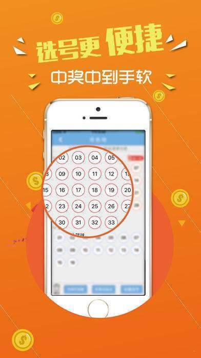 探索数字背后的故事，王中王与数字7777778与数字8的奇妙之旅，数字背后的故事，王中王与数字777777与数字8的奇幻之旅