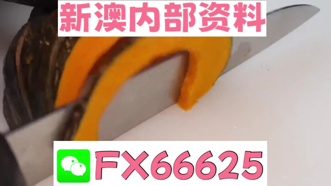 澳门管家婆100精准，探索预测与管理的神秘魅力，澳门精准管家婆，揭开预测与管理的神秘面纱