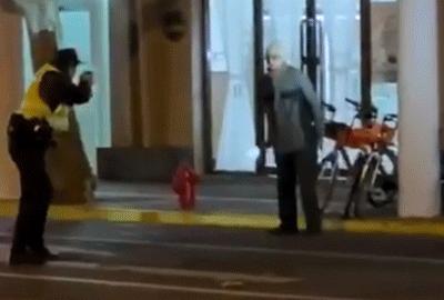 揭秘，关于05战略步枪的详细图解，揭秘，关于05战略步枪的全面图解与解析