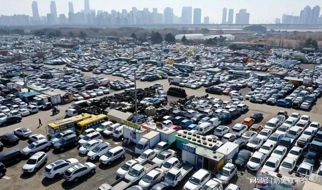 俄乌战争实际战况的最新报告，2023年12月27日的观察与解析，俄乌战争最新战况报告，深度解析与观察（2023年12月27日）