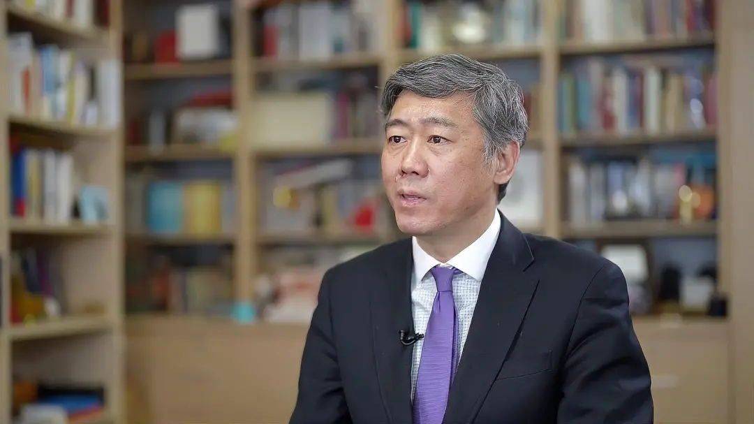 李稻葵与中国及国际观察，洞察经济大势的智者，李稻葵，中国经济大势的洞察者与国际观察专家
