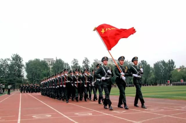 陆军院校概述，院校种类及其特点，陆军院校概览，院校种类与特点解读