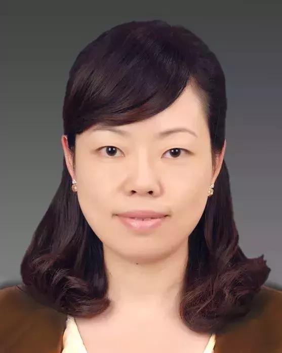 松阳今日瞩目，重大新闻一览，松阳今日瞩目，重大新闻全览
