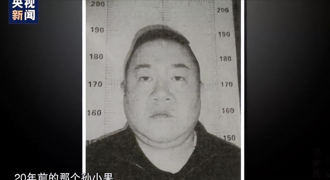 孙小果事件，揭示背后的真相与反思，孙小果事件背后的真相与反思揭秘