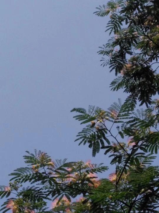 今天长沙疫情最新情况，长沙疫情今日最新动态