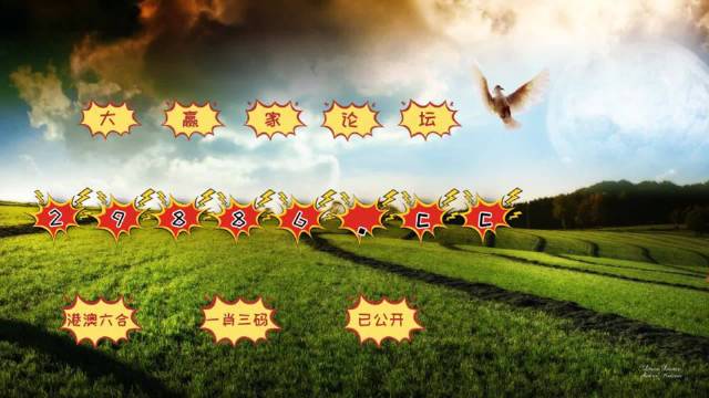 澳门挂牌资料与最快开奖，探索952323com的奥秘，澳门挂牌资料与最新开奖探索，揭秘952323com奥秘