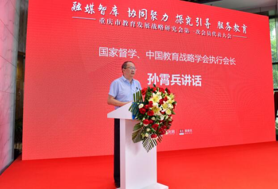 中国发展战略研究会会长，引领战略研究，助力国家发展，中国发展战略研究会会长，引领战略研究，助推国家发展进程