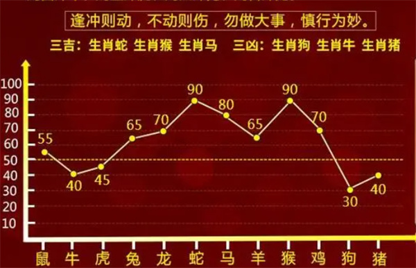关于一肖一码与精准预测的探索之旅，一肖一码精准预测探索之旅