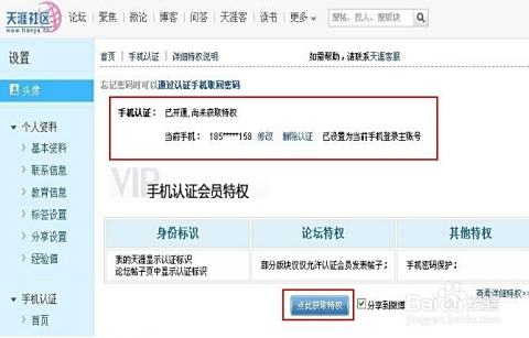 天涯论坛入口在哪里，探索网络社区的入口与路径，天涯论坛探索指南，入口与路径揭秘